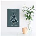 Picture of Blue Spruce _GroupedProduct_Rectangle_Portrait_Unframed_Print_Only_