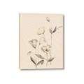 Picture of The Language of Petals II _GroupedProduct_Rectangle_Portrait_Canvas_