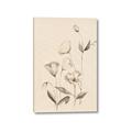 Picture of The Language of Petals II _GroupedProduct_Rectangle_Portrait_Canvas_