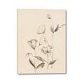 Picture of The Language of Petals II _GroupedProduct_Rectangle_Portrait_Canvas_