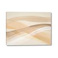 Picture of Shoreline Dance I _GroupedProduct_Rectangle_Landscape_Canvas_