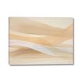 Picture of Shoreline Dance II _GroupedProduct_Rectangle_Landscape_Canvas_