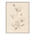 Picture of The Language of Petals I _GroupedProduct_Rectangle_Portrait_Canvas_Framed_