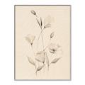 Picture of The Language of Petals I _GroupedProduct_Rectangle_Portrait_Canvas_Framed_