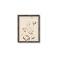 Picture of The Language of Petals II _GroupedProduct_Rectangle_Portrait_Canvas_Framed_