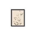 Picture of The Language of Petals II _GroupedProduct_Rectangle_Portrait_Canvas_Framed_