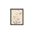 Picture of The Language of Petals II _GroupedProduct_Rectangle_Portrait_Canvas_Framed_