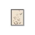 Picture of The Language of Petals II _GroupedProduct_Rectangle_Portrait_Canvas_Framed_