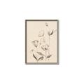 Picture of The Language of Petals II _GroupedProduct_Rectangle_Portrait_Canvas_Framed_