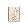 Picture of The Language of Petals II _GroupedProduct_Rectangle_Portrait_Canvas_Framed_
