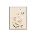 Picture of The Language of Petals II _GroupedProduct_Rectangle_Portrait_Canvas_Framed_