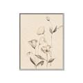 Picture of The Language of Petals II _GroupedProduct_Rectangle_Portrait_Canvas_Framed_