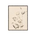 Picture of The Language of Petals II _GroupedProduct_Rectangle_Portrait_Canvas_Framed_