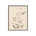 Picture of The Language of Petals II _GroupedProduct_Rectangle_Portrait_Canvas_Framed_