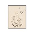 Picture of The Language of Petals II _GroupedProduct_Rectangle_Portrait_Canvas_Framed_