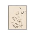 Picture of The Language of Petals II _GroupedProduct_Rectangle_Portrait_Canvas_Framed_