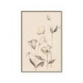 Picture of The Language of Petals II _GroupedProduct_Rectangle_Portrait_Canvas_Framed_