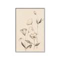 Picture of The Language of Petals II _GroupedProduct_Rectangle_Portrait_Canvas_Framed_