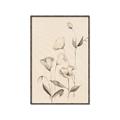 Picture of The Language of Petals II _GroupedProduct_Rectangle_Portrait_Canvas_Framed_