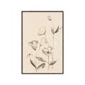 Picture of The Language of Petals II _GroupedProduct_Rectangle_Portrait_Canvas_Framed_