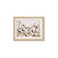 Picture of Sepia Blossoms _GroupedProduct_Rectangle_Landscape_Framed_Matted_
