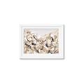 Picture of Sepia Blossoms _GroupedProduct_Rectangle_Landscape_Framed_Matted_