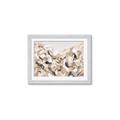 Picture of Sepia Blossoms _GroupedProduct_Rectangle_Landscape_Framed_Matted_