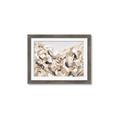 Picture of Sepia Blossoms _GroupedProduct_Rectangle_Landscape_Framed_Matted_