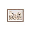 Picture of Sepia Blossoms _GroupedProduct_Rectangle_Landscape_Framed_Matted_