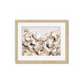 Picture of Sepia Blossoms _GroupedProduct_Rectangle_Landscape_Framed_Matted_