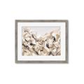 Picture of Sepia Blossoms _GroupedProduct_Rectangle_Landscape_Framed_Matted_