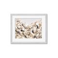 Picture of Sepia Blossoms _GroupedProduct_Rectangle_Landscape_Framed_Matted_