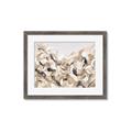 Picture of Sepia Blossoms _GroupedProduct_Rectangle_Landscape_Framed_Matted_