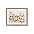 Picture of Sepia Blossoms _GroupedProduct_Rectangle_Landscape_Framed_Matted_