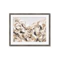 Picture of Sepia Blossoms _GroupedProduct_Rectangle_Landscape_Framed_Matted_