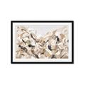 Picture of Sepia Blossoms _GroupedProduct_Rectangle_Landscape_Framed_Matted_