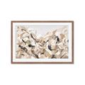 Picture of Sepia Blossoms _GroupedProduct_Rectangle_Landscape_Framed_Matted_