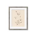 Picture of The Language of Petals I _GroupedProduct_Rectangle_Portrait_Framed_Matted_