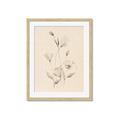 Picture of The Language of Petals I _GroupedProduct_Rectangle_Portrait_Framed_Matted_