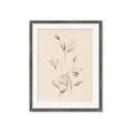 Picture of The Language of Petals I _GroupedProduct_Rectangle_Portrait_Framed_Matted_
