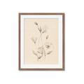 Picture of The Language of Petals I _GroupedProduct_Rectangle_Portrait_Framed_Matted_