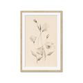Picture of The Language of Petals I _GroupedProduct_Rectangle_Portrait_Framed_Matted_