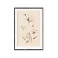 Picture of The Language of Petals I _GroupedProduct_Rectangle_Portrait_Framed_Matted_