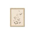 Picture of The Language of Petals II _GroupedProduct_Rectangle_Portrait_Framed_Matted_