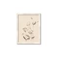 Picture of The Language of Petals II _GroupedProduct_Rectangle_Portrait_Framed_Matted_