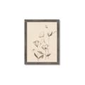 Picture of The Language of Petals II _GroupedProduct_Rectangle_Portrait_Framed_Matted_