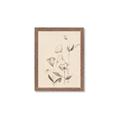 Picture of The Language of Petals II _GroupedProduct_Rectangle_Portrait_Framed_Matted_