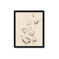 Picture of The Language of Petals II _GroupedProduct_Rectangle_Portrait_Framed_Matted_