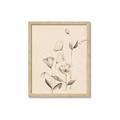 Picture of The Language of Petals II _GroupedProduct_Rectangle_Portrait_Framed_Matted_
