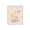 Picture of The Language of Petals II _GroupedProduct_Rectangle_Portrait_Framed_Matted_